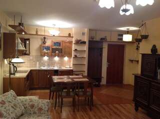 Апартаменты Apartament Stary Kazimierz - Apartamenty Pod Aniołem Казимеж-Дольны Апартаменты с террасой-49